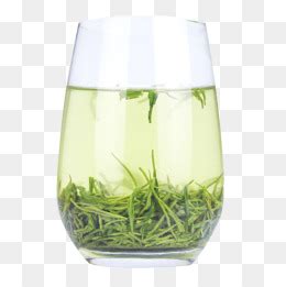 谁才最适合用玻璃杯冲泡,为什么绿茶要用玻璃杯冲泡