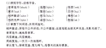 汉语拼音教学的反思,教师反思有哪些意义