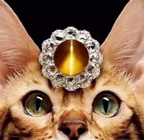 珠宝猫眼,为什么说金绿宝石猫眼