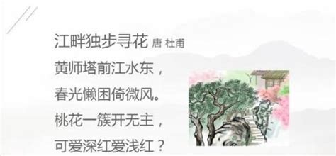 美丽的白龙江畔-三年级写景作文700字【精选7则】