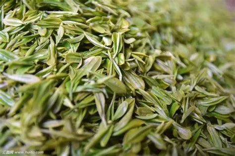 怎么区分茶叶的品种,黑茶…茶叶的区别
