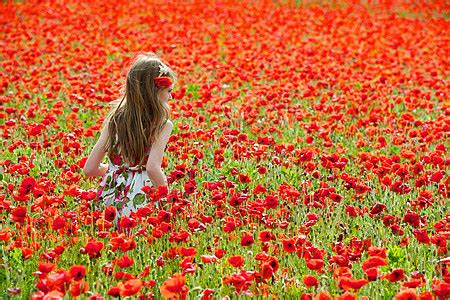 好一朵开在浪花丛里的奇葩句子