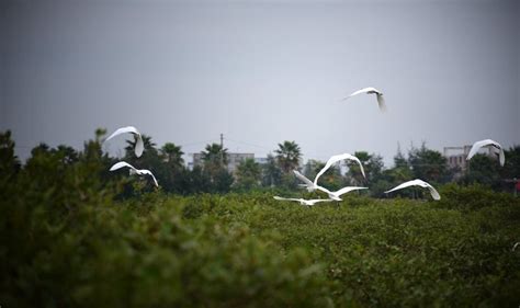 北海当地有多少人,攀枝花和北海选谁