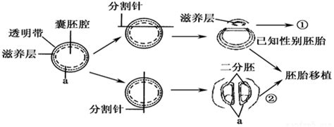 哺乳期找工作流程