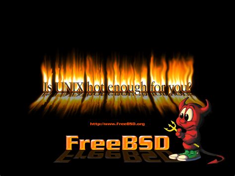 freebsd,openbsd