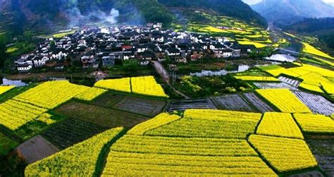 江西省上饶市婺源都有什么景点