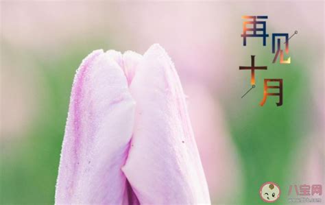 不能爱太满的文案（推荐57句）