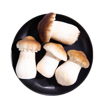 姬松茸茶树菇杂菌汤 云南姬松茸煲汤菌菇