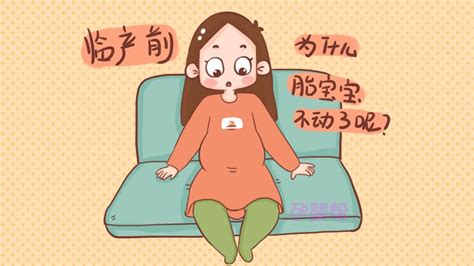 怀孕34周胎动有点少