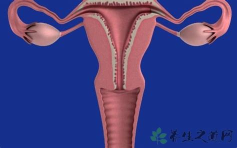 多囊卵巢最佳受孕方法