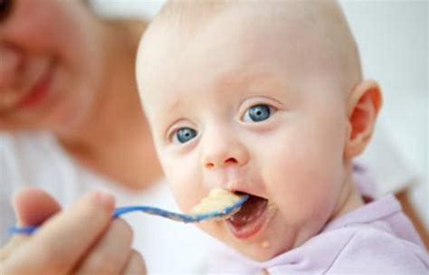 断奶怎么最快最有效