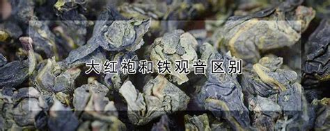 铁观音和大红袍哪个发酵重,你知道铁观音和大红袍属于什么茶