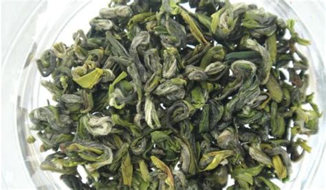 安徽药用茶松萝茶,松萝茶是什么植物