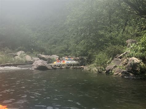 游百丈飞瀑-游记作文350字(共计6篇)