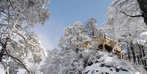 西岭雪山门票多少钱