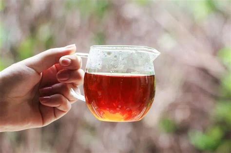 为什么叫工夫红茶,细说18种中国工夫红茶