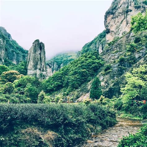 大龙湫-写景作文350字(推荐6篇)