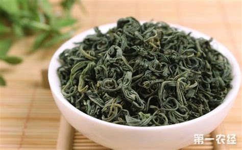 炒青绿茶如何泡喝,绿茶有哪些品种