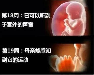 孕妇发热对胎儿有影响