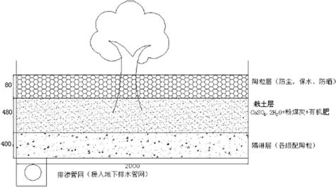 盐碱地如何改良?