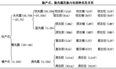 查胎停的原因步骤