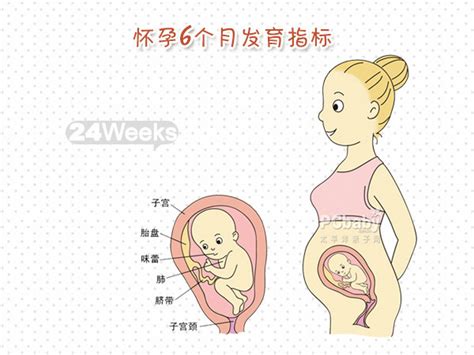 先父遗传是指怀过孕吗