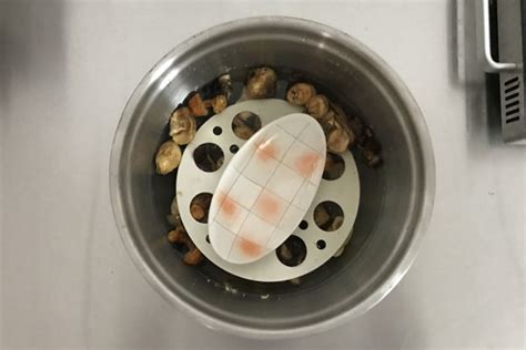 姬松茸羊肚菌茶樹菇湯,茶樹菇可以跟姬松茸羊肚菌一起煲湯嗎
