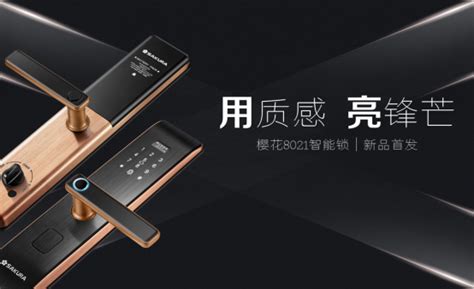 2018指紋鎖的品牌排行前十的有哪些品牌？