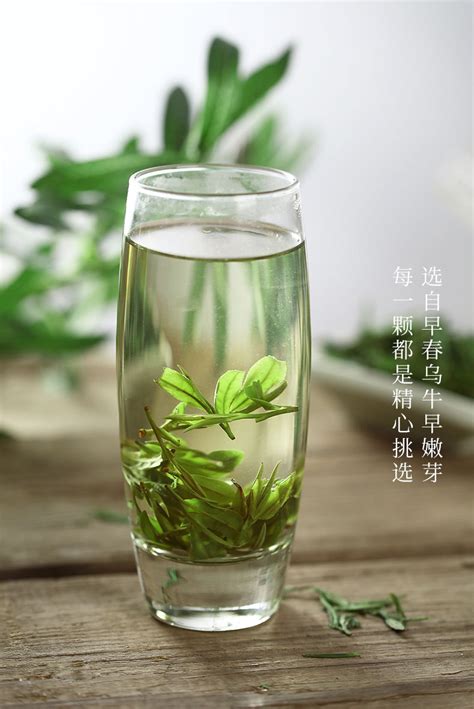 杭州绿茶什么时候上市,龙井绿茶什么时候下来