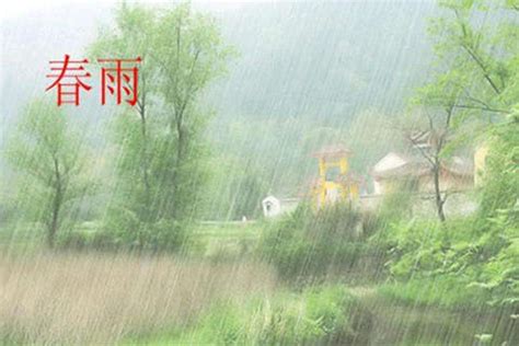 描写雨的抒情句子
