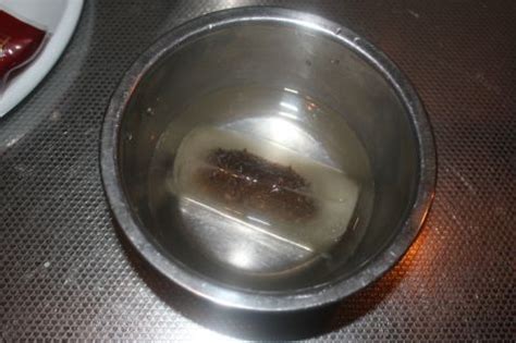 鲜松茸炖海参鲍鱼的做法,鲍鱼海参松茸鸡汤的做法