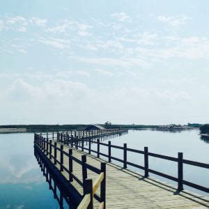 游黄河口湿地-游记作文450字(共计8则)