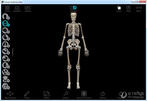 iPad上Complete Anatomy 和 3Dbody哪个更适合医学生学解剖