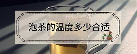 抽烟的人喝什么茶好,吸烟者喝什么茶好