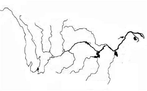 为什么黄河被称为黄河,地理知识  为什么黄河叫黄河