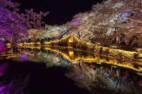 鼋头渚一日游_春游作文400字【共7篇】