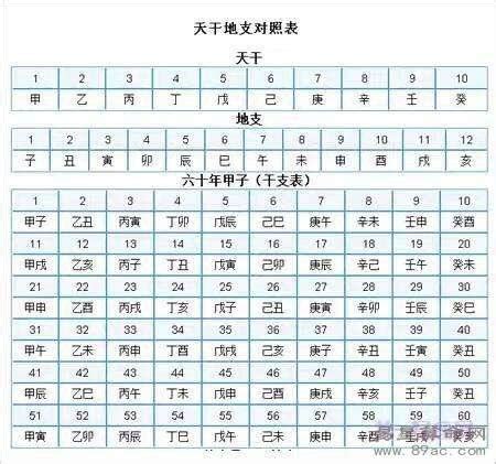 甲子月甲子日甲子时表
