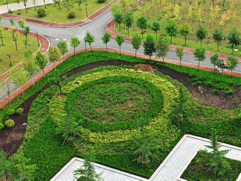 采购项目绿化养护方案怎么编制,上海某绿化养护项目招标公告