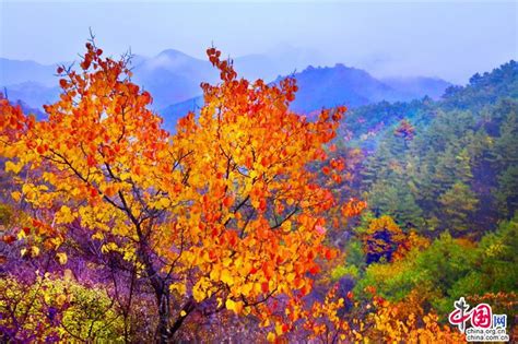 西藏之秋，惊艳中国