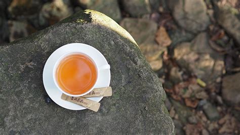 什么是普洱茶的回甘,普洱茶单宁是什么