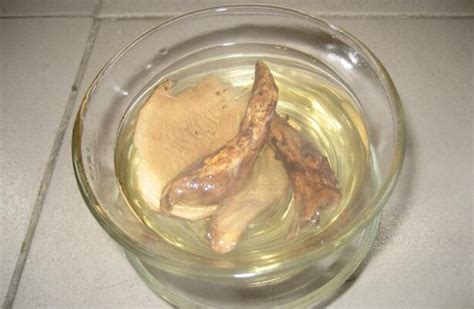 喝俄罗斯松茸茶真菌高 俄罗斯桦树茸副作用
