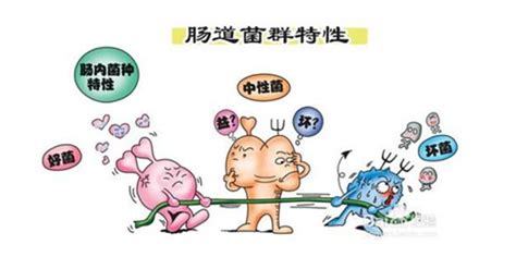 宝宝肠道疾病的十大症状
