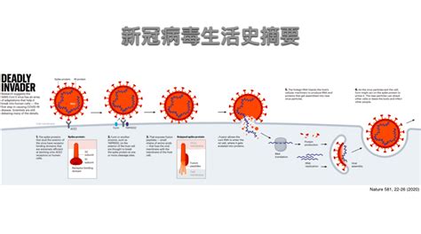 新型冠状病毒的症状筛查要钱吗