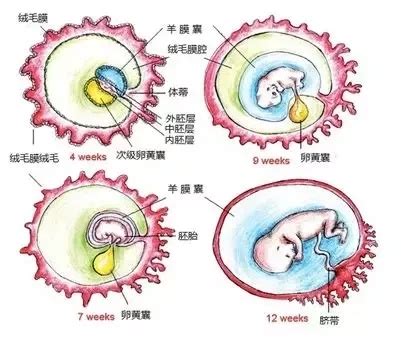 孕37周胎盘才1 正常吗