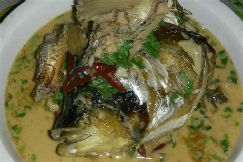 东北铁锅炖鱼怎么做好吃,东北铁锅炖鱼怎么做
