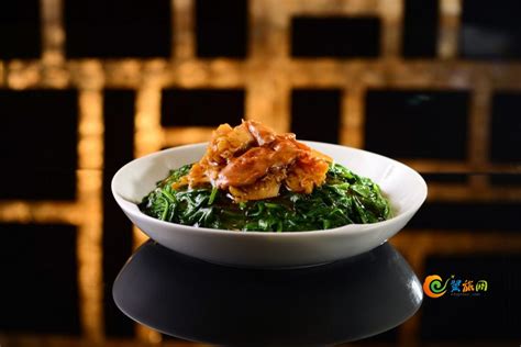 海松茸怎么做凉菜 凉菜松茸菇