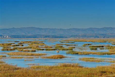 威宁草海，贵州最大的天然淡水湖，冬天是观赏黑颈鹤等的最好季节