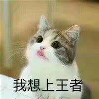 纹身背字图片大全图片,这么多纹身风格