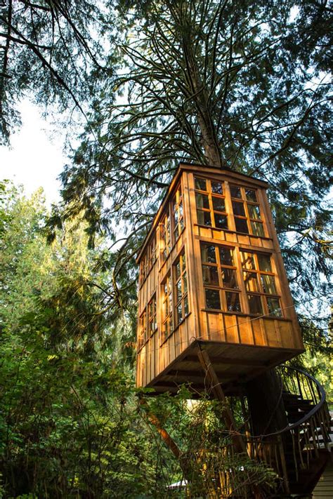 Treehouse,treehouse