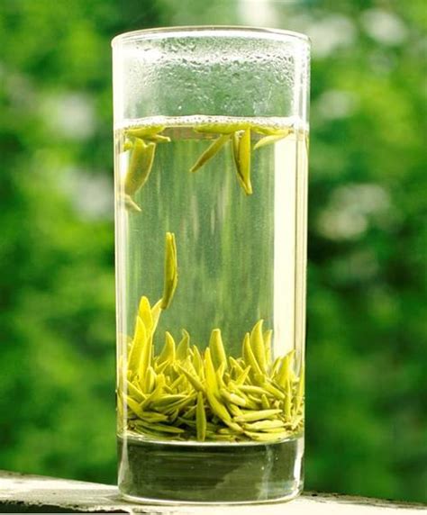 绿茶为什么不能用沸水,新绿茶为什么不能马上喝